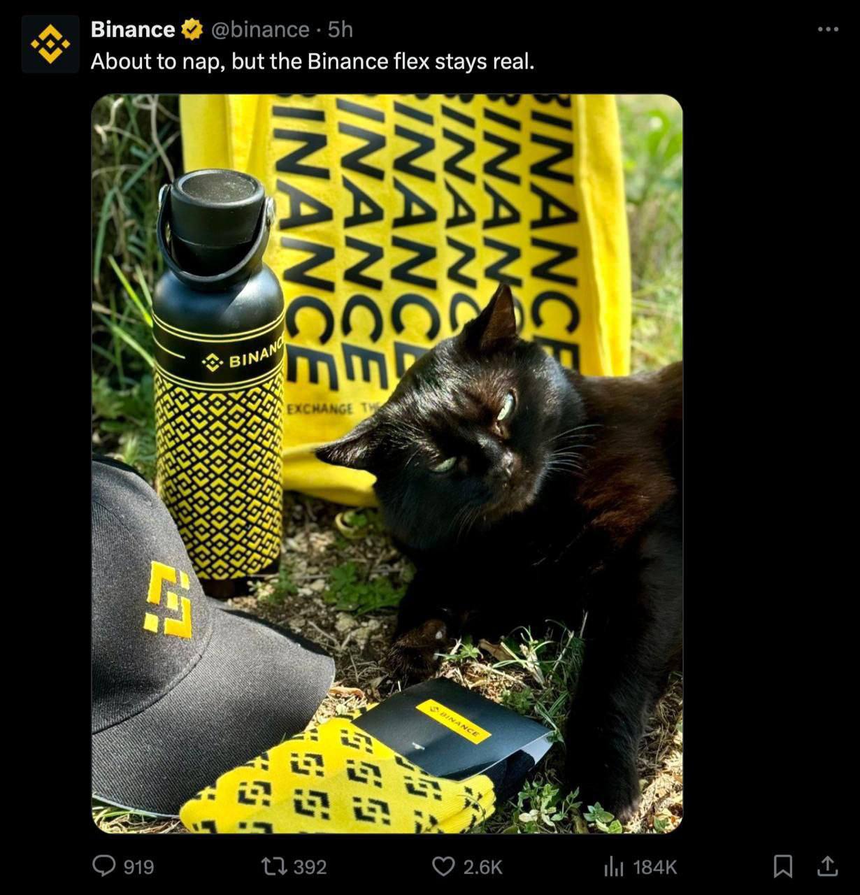 Binance "thả thính" với hình ảnh mèo đen: Liệu $CATS sắp lên sàn? 🐈‍⬛